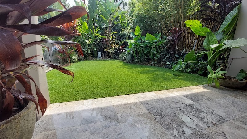 K9 Grass project 9