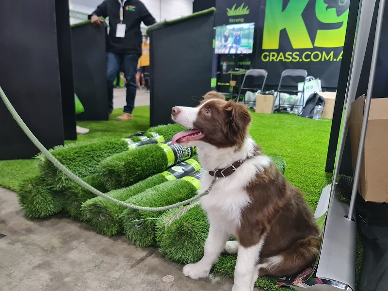 K9 Grass project 10
