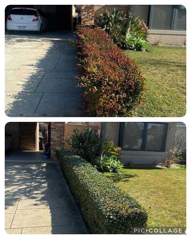 Kaizen Gardening Services photo 1