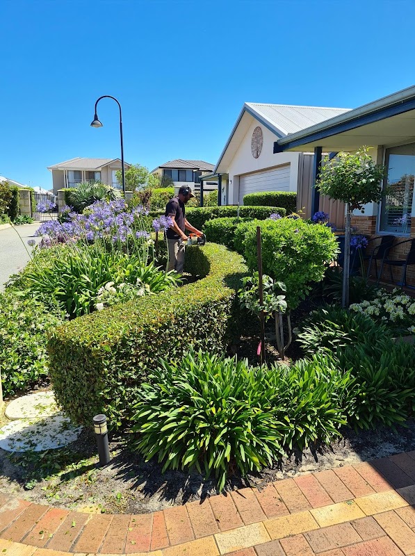 Kaizen Gardening Services photo 3