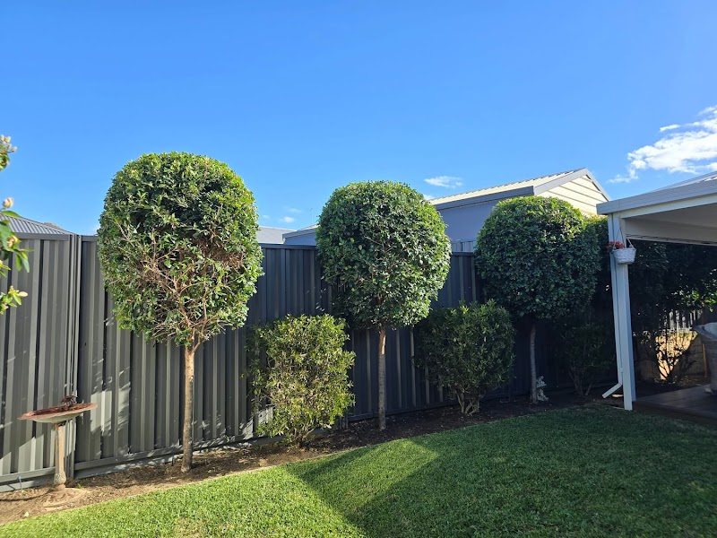 Kaizen Gardening Services project 5
