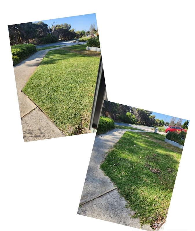 Kaizen Gardening Services project 8