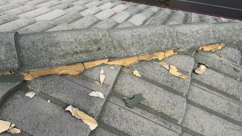 Kangaroo Roof Restoration The hills work 4