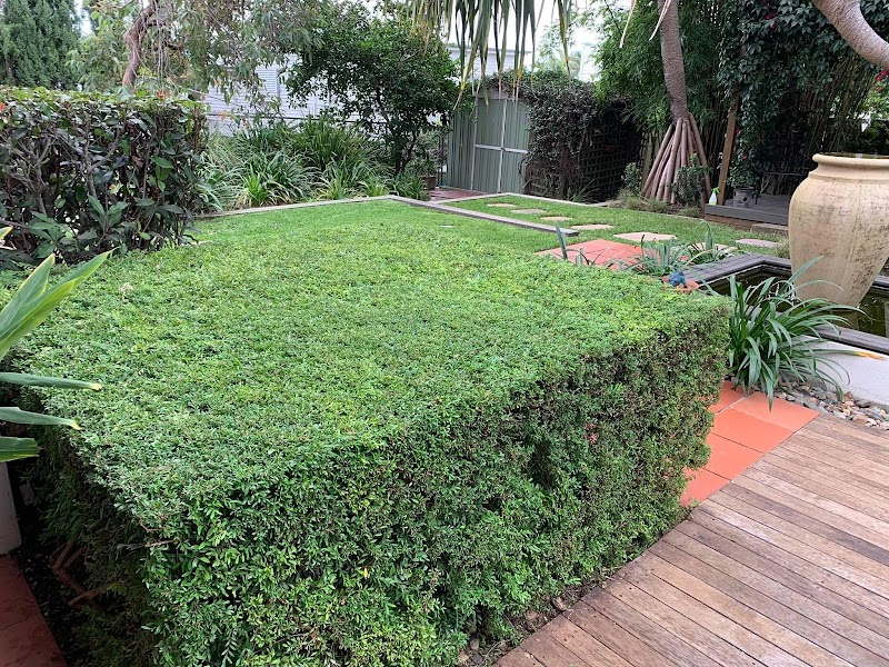 KB Mowing project 5