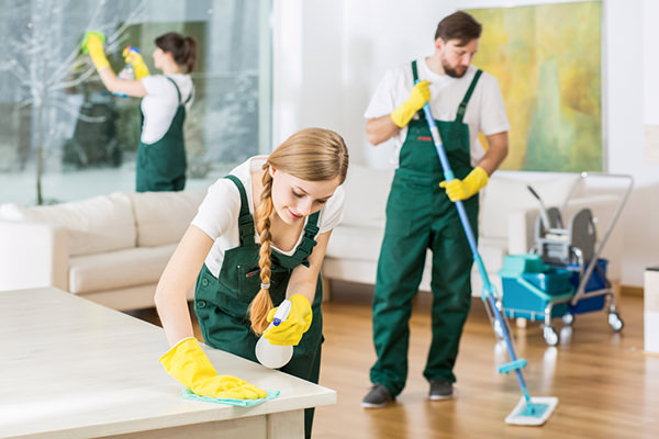 Klean Cleaning Pty Ltd - Essendon | Commercial Cleaning | Carpet Cleaning | End of Lease House Cleaning | Window Cleaning project 7