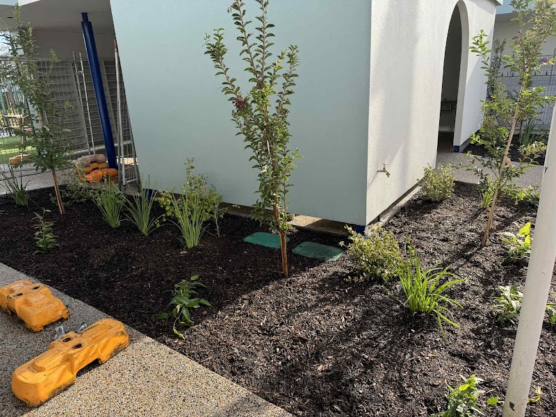 L.A. Lazaro Landscape Solution project 8