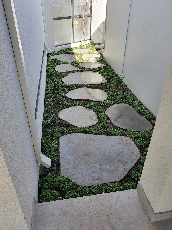 Landscape Constructions project 6