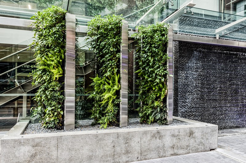 Landscapers Plus project 8
