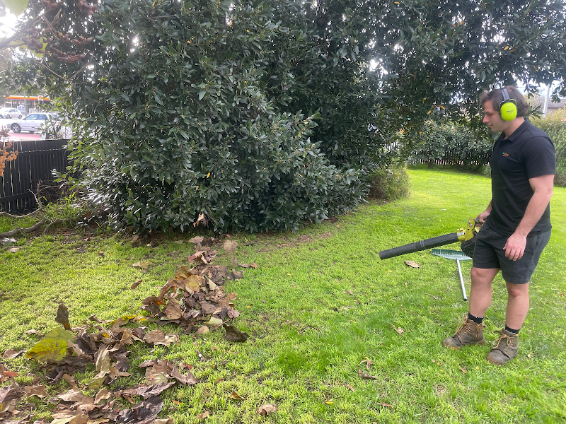Lawn Link (Division of Augusta) project 5