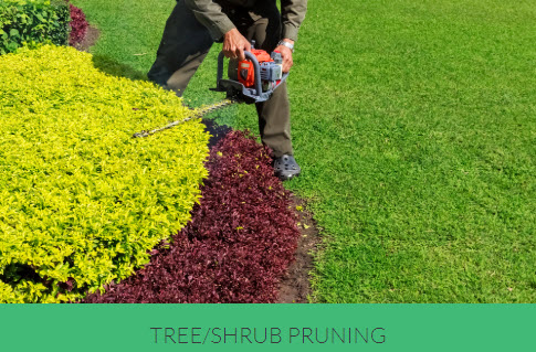 Lawn Mowing Services photo 3
