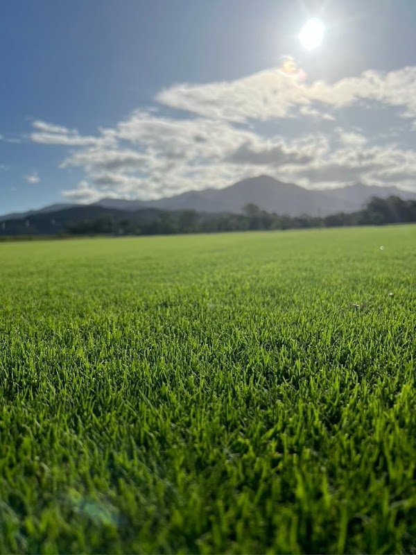 Lawn Mowings Australia project 7