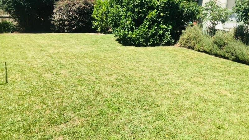 Lawn Mowings Australia photo 1