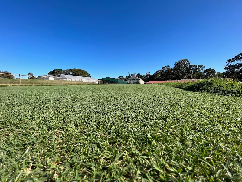Lawn Mowings Australia project 6