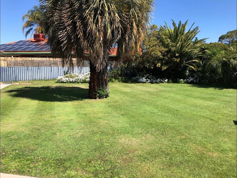 Lawn Mowings Australia project 8