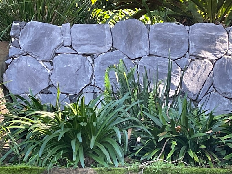 Little Bay Landscapes project 7