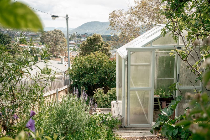 Little Forest Landscaping photo 2