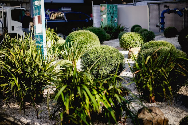 Little Forest Landscaping work 4