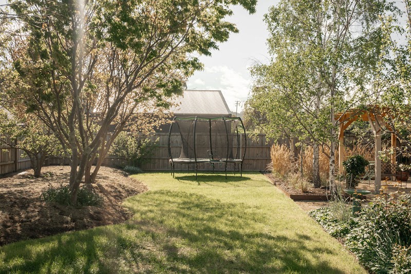 Little Forest Landscaping project 5