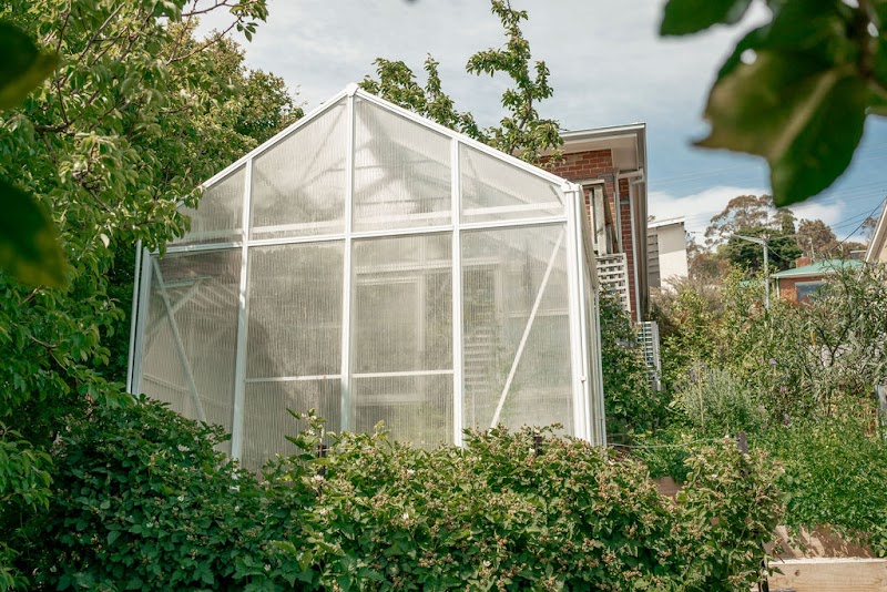 Little Forest Landscaping project 7