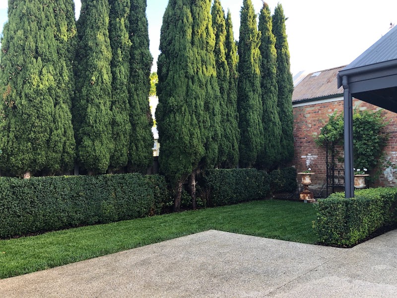 Little Forest Landscaping project 8