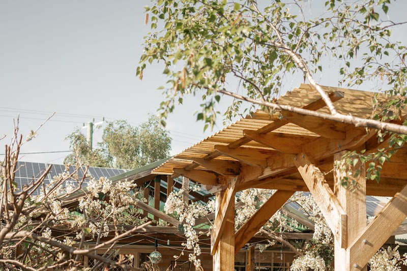 Little Forest Landscaping project 10