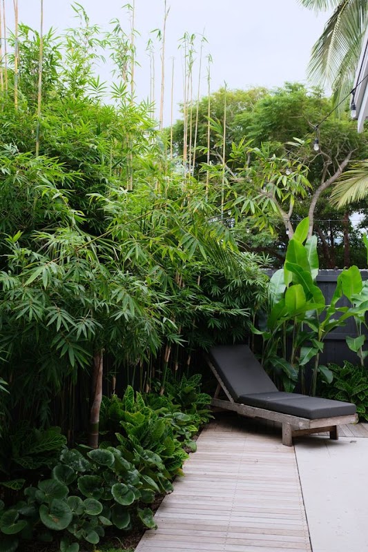 Lone Pine Landscapes work 4