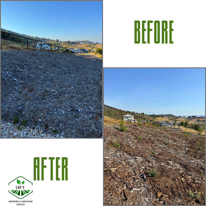 Lou’s Gardening & Landscaping Services project 6