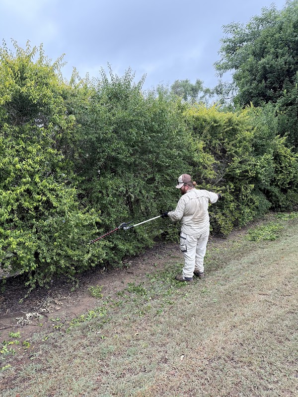 Lou’s Gardening & Landscaping Services project 7