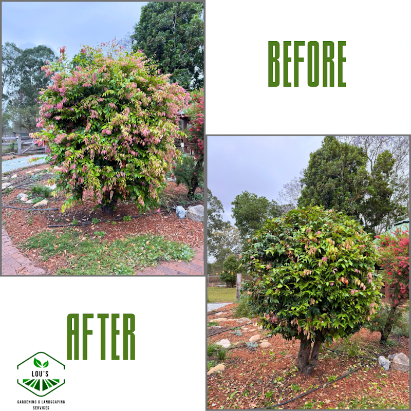 Lou’s Gardening & Landscaping Services project 9