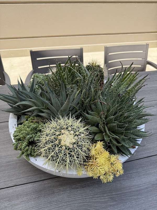 Louisa Green Co photo 1