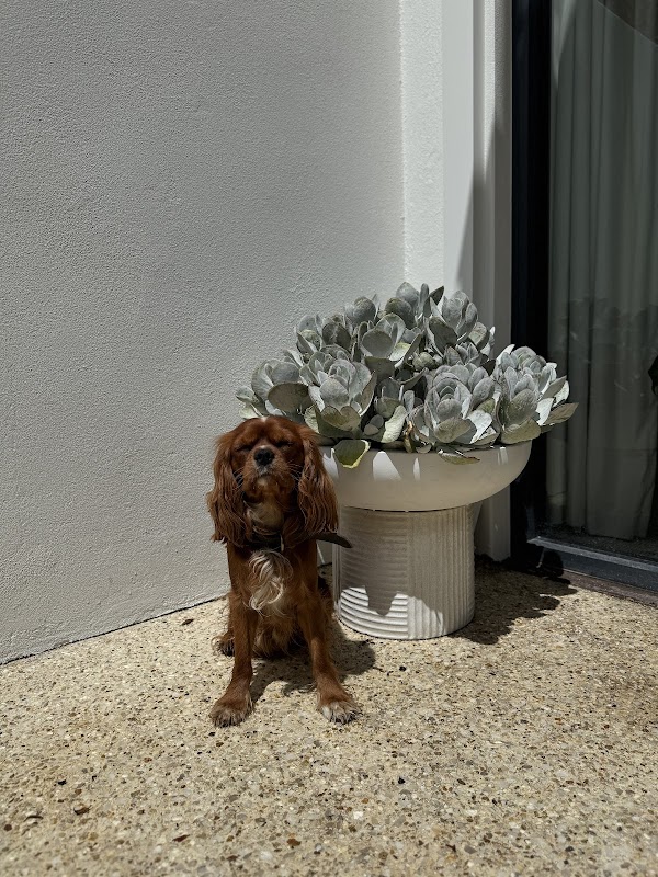 Louisa Green Co photo 3