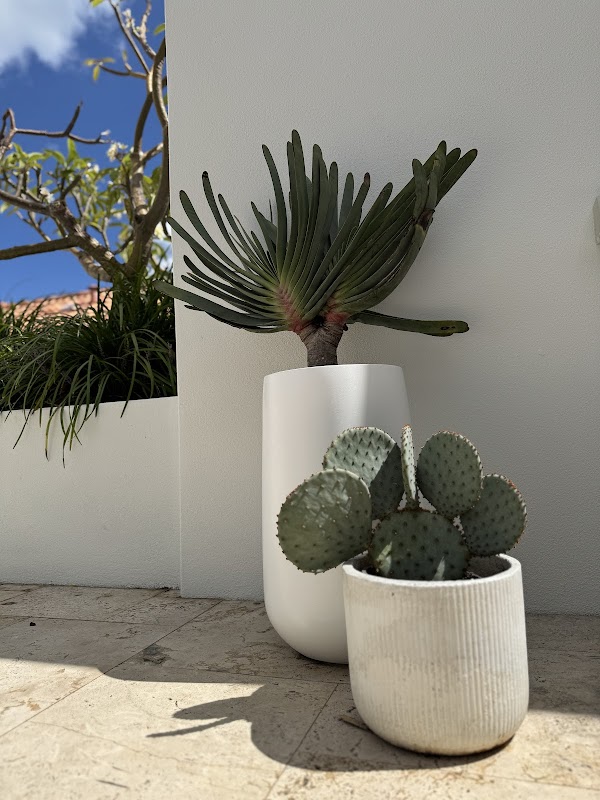 Louisa Green Co project 6