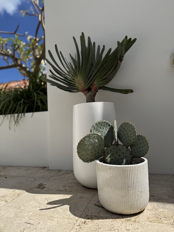 Louisa Green Co project 8