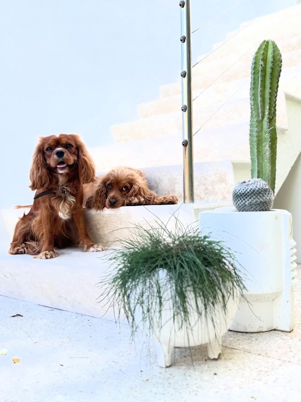 Louisa Green Co project 9