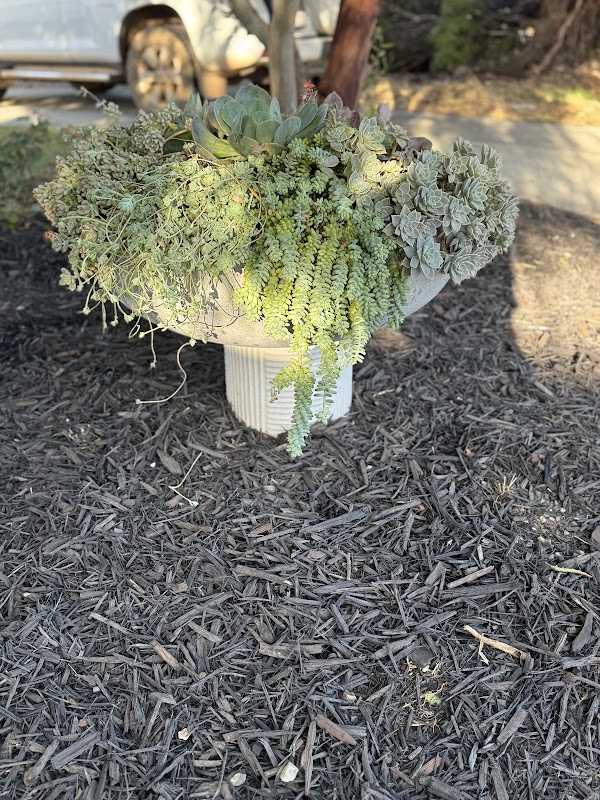 Louisa Green Co project 10