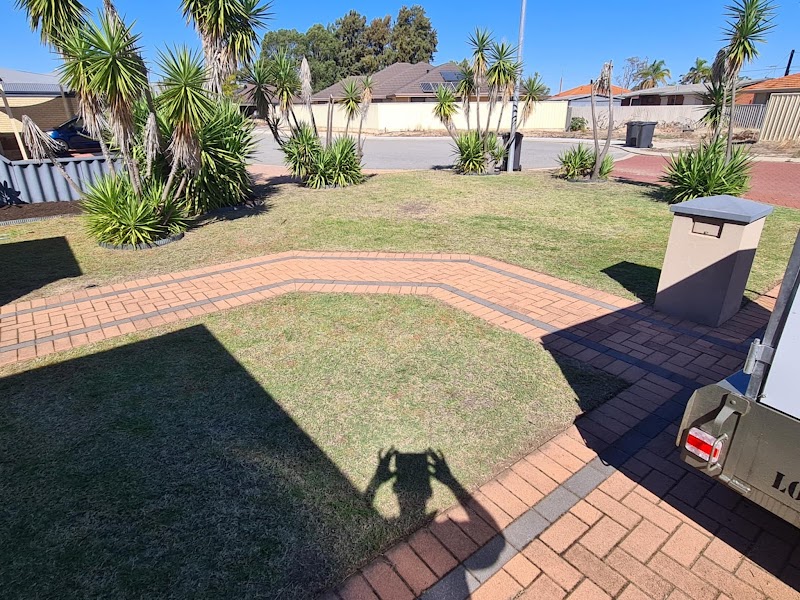 Luscious Lawns and Gardens photo 3