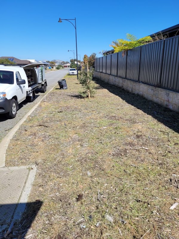 Luscious Lawns and Gardens project 5