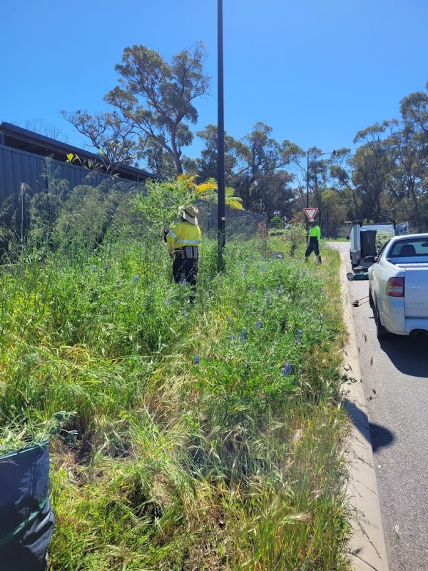 Luscious Lawns and Gardens project 8