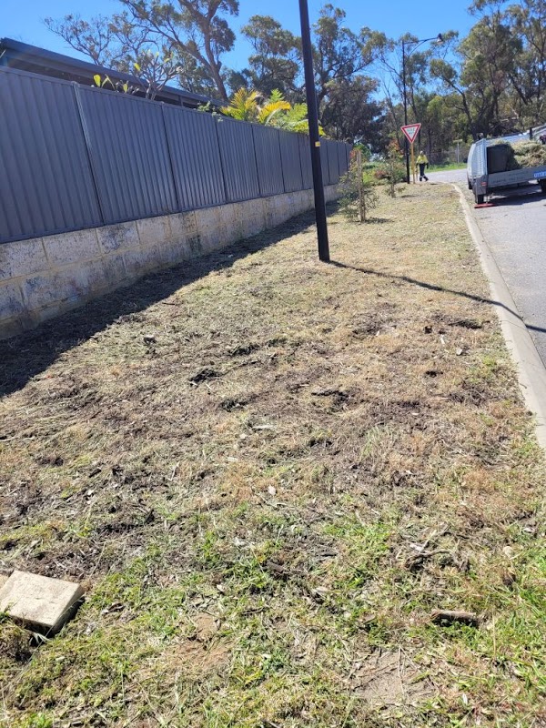 Luscious Lawns and Gardens project 10