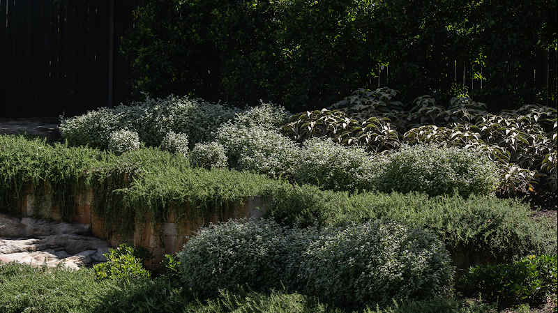 Lux Landscapes project 10