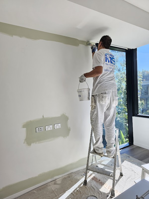Mads Professional Painting work 1