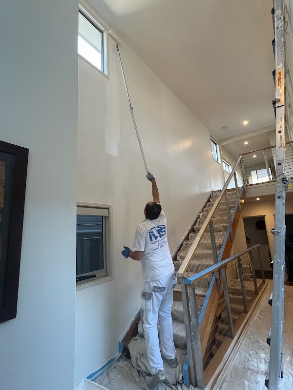 Mads Professional Painting work 4