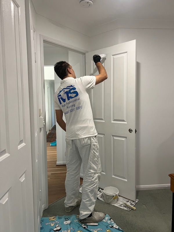 Mads Professional Painting project 5