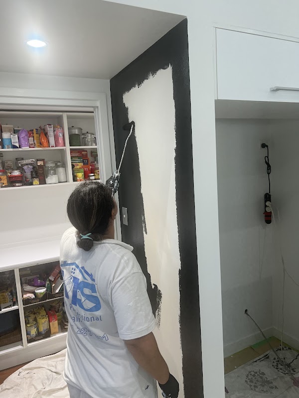 Mads Professional Painting project 10