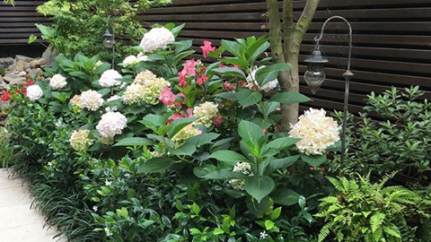Maintain Me Gardening Services work 4