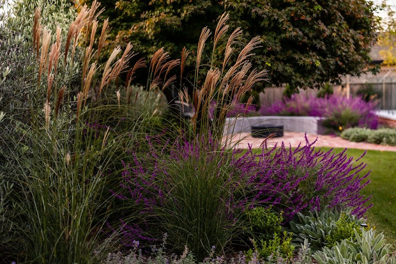 Manuka Gardens project 5