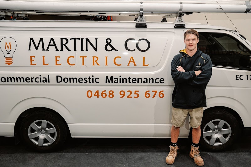Martin & Co Electrical work 3