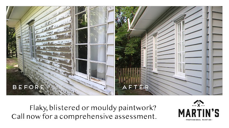 Martins Professional Painting project 5