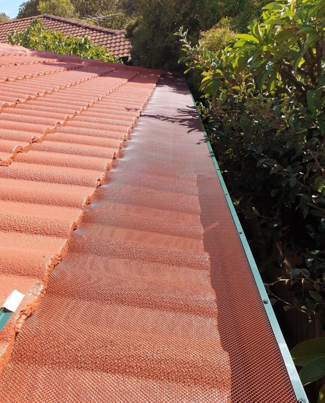Master Roofers and Painter project 6