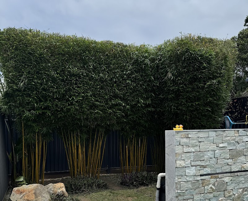 McDaid Property Maintenance project 8